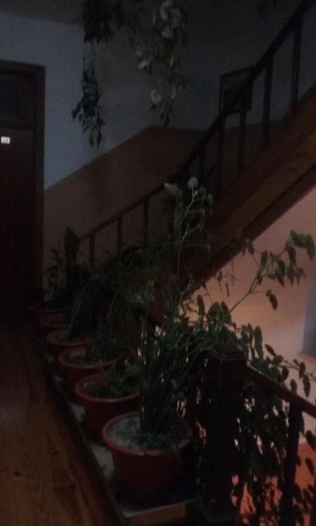 Pensao Avenida Hotel Penacova Luaran gambar